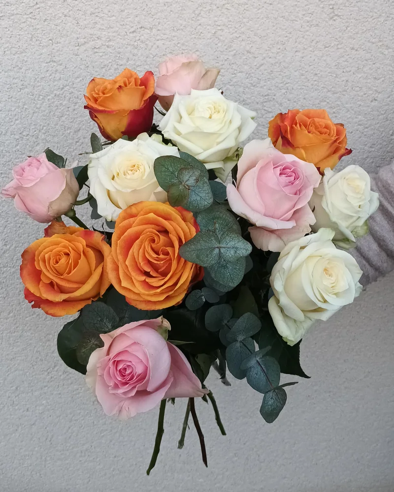 Anniversaire